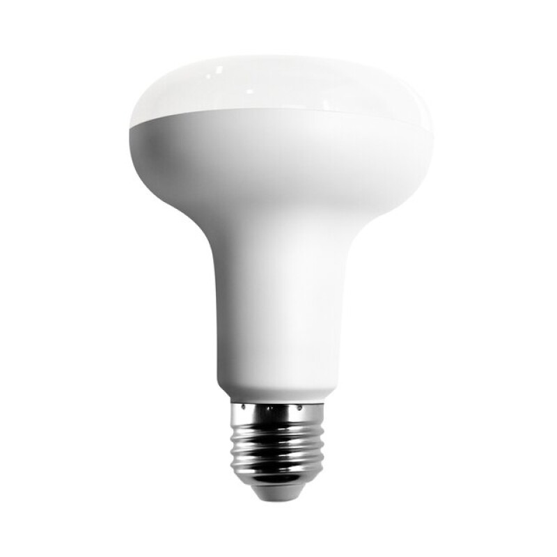 R Series LED Bulb